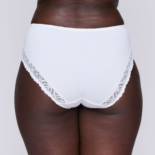 Prima Donna - SALERNO -0563531 - Full  Brief